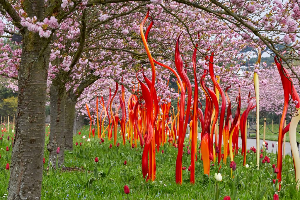 Dale Chihuly, Cattails and Copper Birch Reeds, 2015, Royal Botanic Gardens, Kew, London